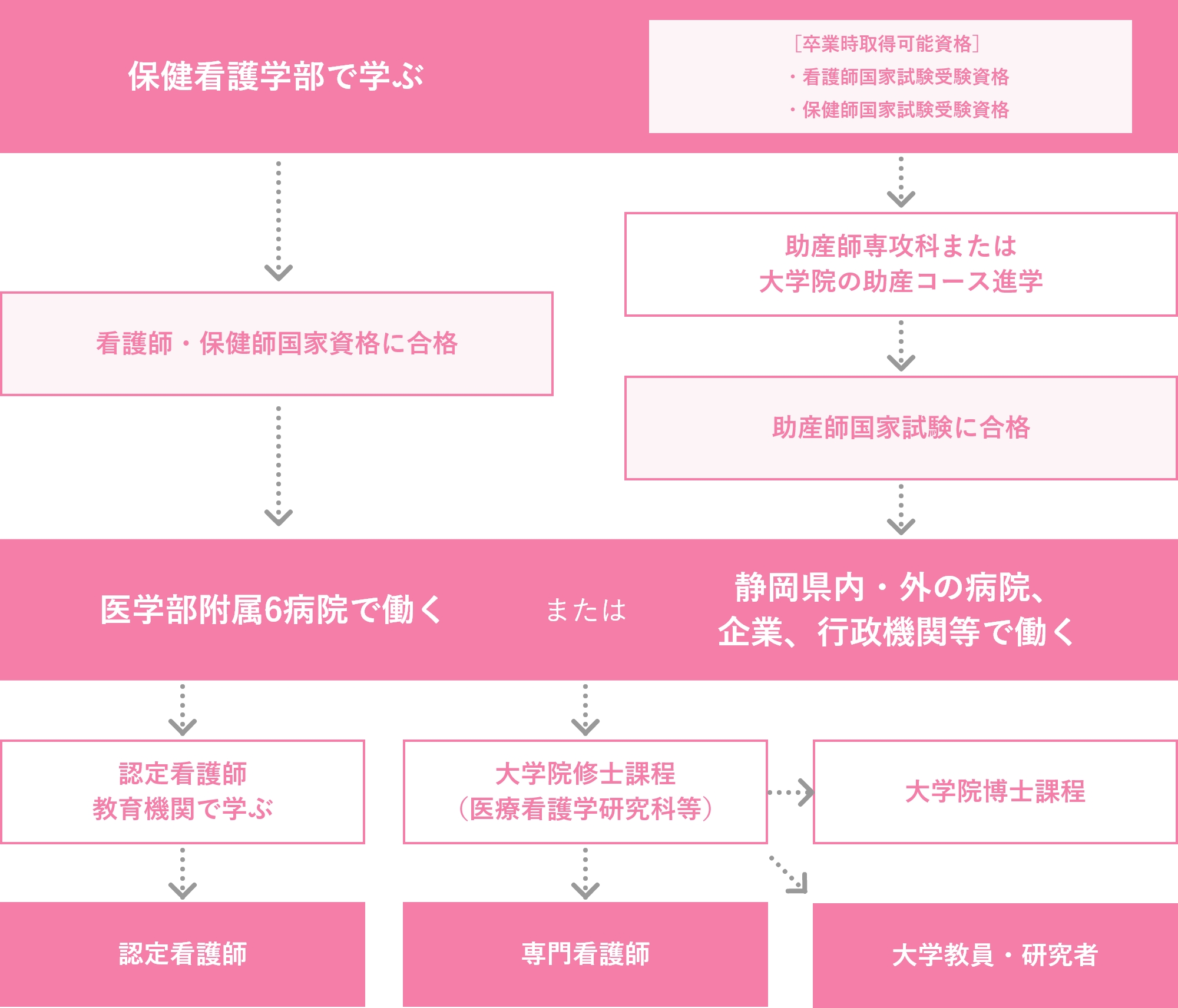 看護職者への道のり |保健看護学部|順天堂大学